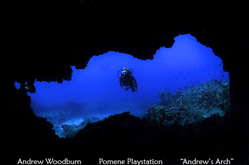 Dive Andrews Arch on Pomene Playstation reef copy right A Woodburn